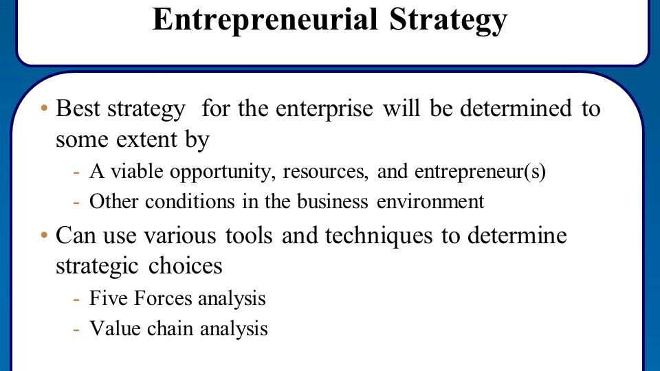 Entrepreneurial Strategies:
