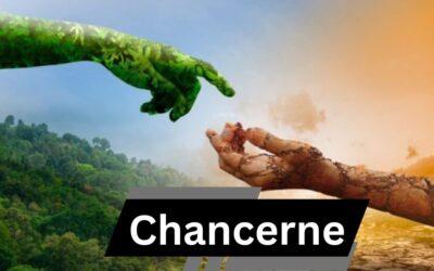 Chancerne