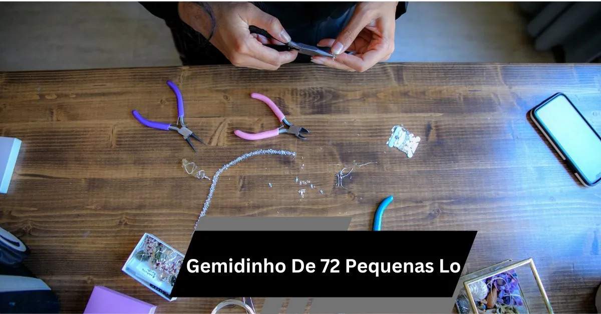 Gemidinho De 72 Pequenas Lo