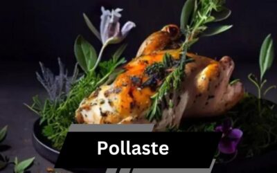 Pollaste