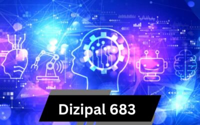 Dizipal 683