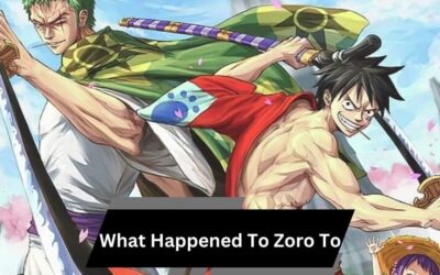 What Happened To Zoro To