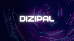 What industries can benefit most from using Dizipal 683?