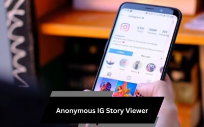 Anonymous IG Story Viewer