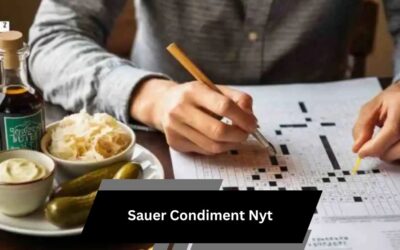 Sauer Condiment Nyt